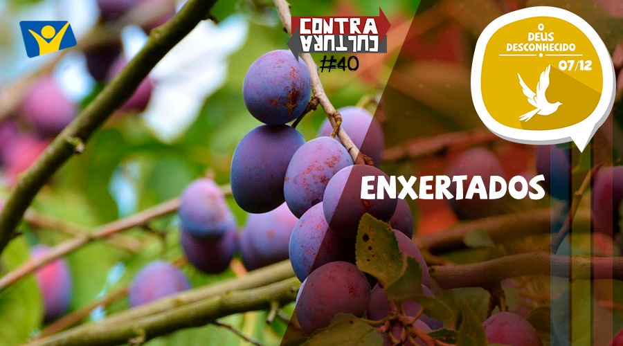 Enxertados