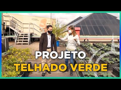 Projeto de shopping transforma lixo em adubo de horta I [CORTE] Constantes Antrópicas #12