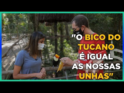 Ana Visita Maior Parque de Preservação de Aves do Mundo I [CORTE] Voo das Aves #14
