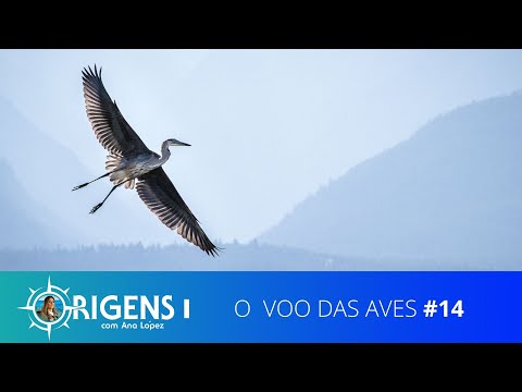 Voo das Aves | ORIGENS [TEMP 09 – EP 14]