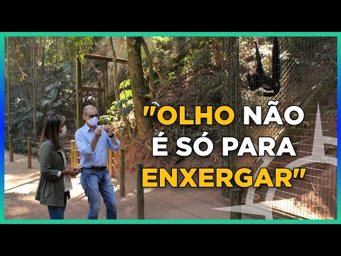 Biólogo explica complexidade do olho | I [CORTE] Olho Humano #16