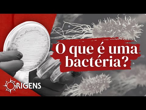 O que é uma bactéria? | ORIGENS [TEMP 10 – EP 04]