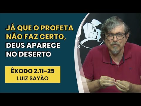 Já Que o Profeta Não Faz Certo, Deus Aparece no Deserto – Êxodo 2.11-3.2 | Luiz Sayão | IBNU