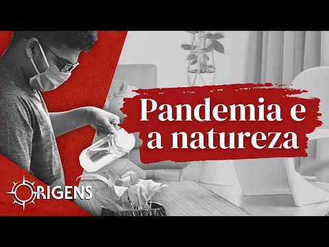 Pandemia e a natureza | ORIGENS [TEMP 10 – EP 06]
