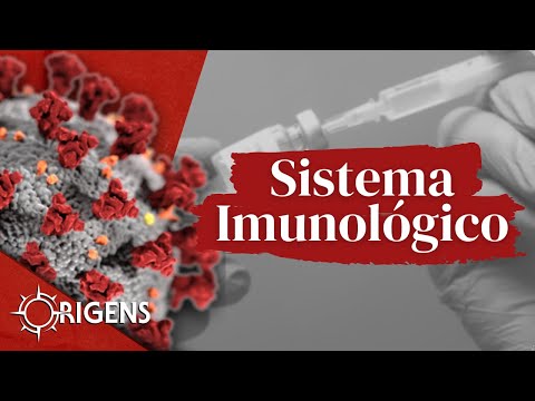 Sistema imunológico | ORIGENS [TEMP 10 – EP 07]