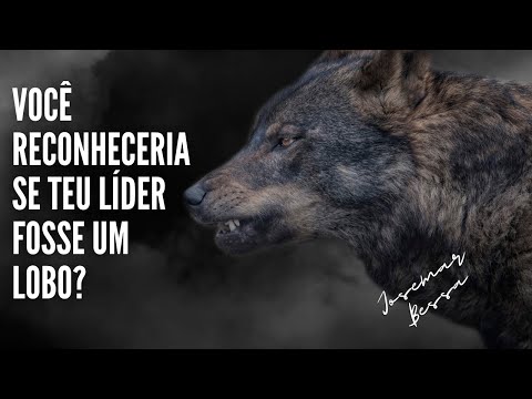 Você reconheceria se teu líder fosse um Lobo? | Josemar Bessa | @Spurgeontv @JosemarBessa