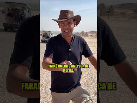 A ARVORE MAIS ANTIGA DO MUNDO – RODRIGO SILVA ARQUEOLOGIA #shorts