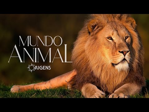 ORIGENS | MUNDO ANIMAL – TRAILER TEMPORADA 11