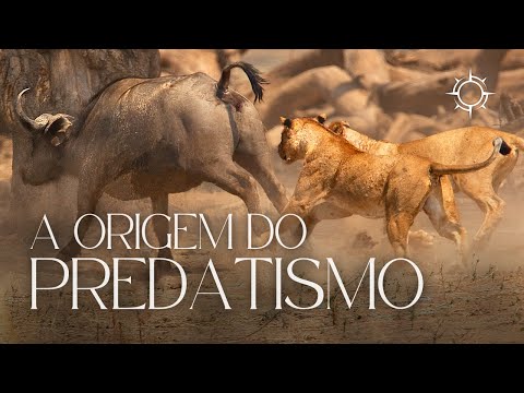 A Natureza Cruel | Mundo Animal | Origens