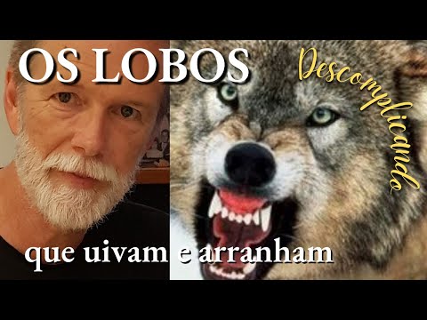 Os Lobos que uivam e arranham o meu peito