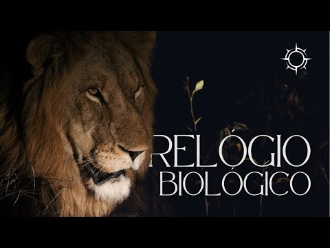A Vida sem Ponteiros do Relógio | Mundo Animal | Origens