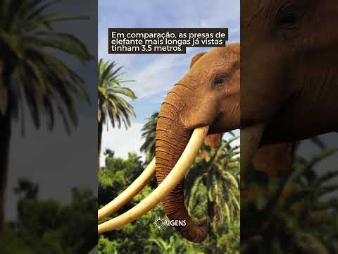 Você já sabia tudo isso sobre os mamutes?