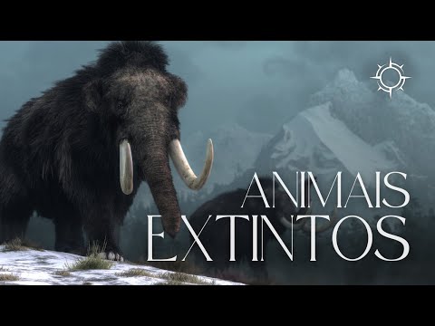 O que o Registro Fóssil Pode nos Dizer Sobre o Passado? | Mundo Animal | Origens