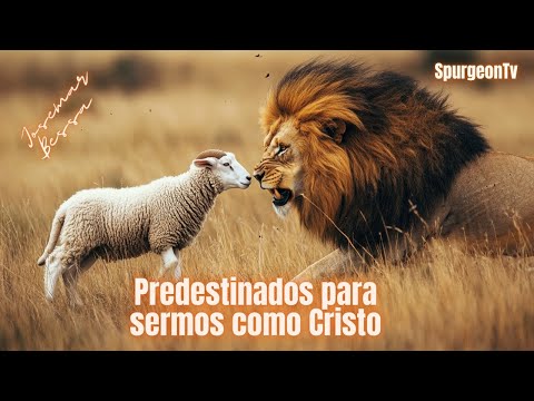 Predestinados para sermos como Cristo | Josemar Bessa