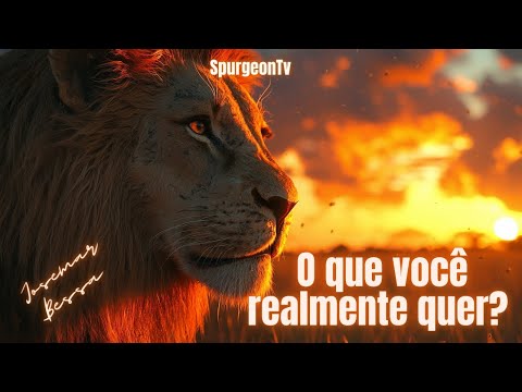 O que você realmente quer? | Josemar Bessa