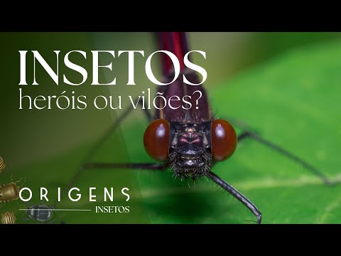 Documentário: Insetos transmitem doenças? Herois ou vilões? | Pequenos Gigantes – Ep. 2 | ORIGENS